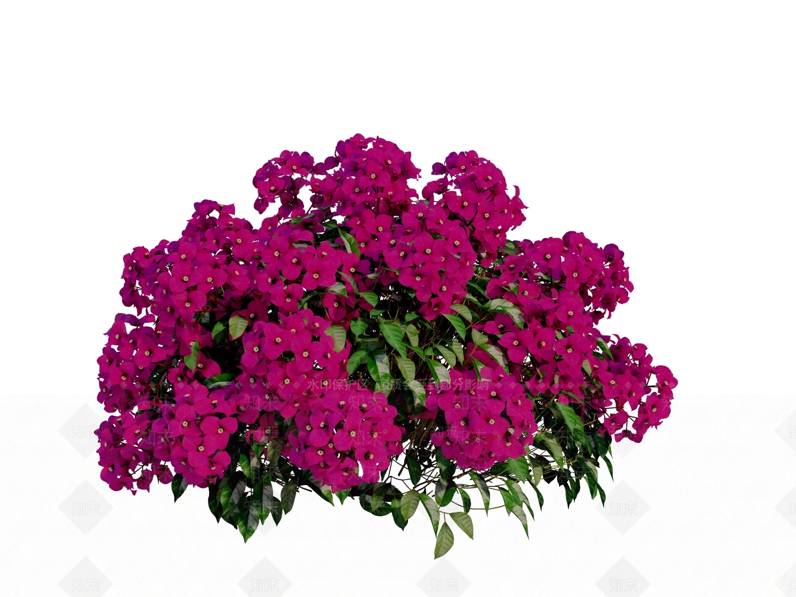 叶子花球3D模型下载【ID:1156803133】