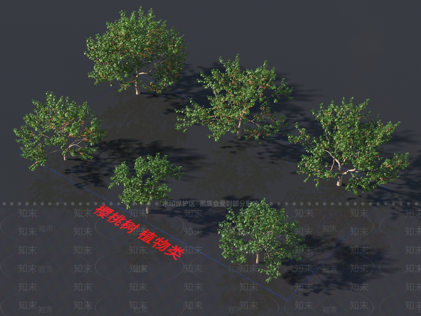 樱桃树3D模型下载【ID:1156817263】