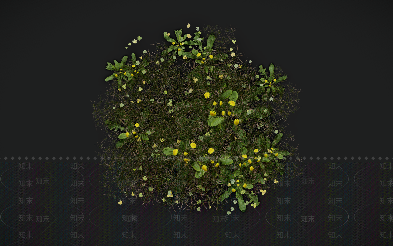 花草组合3D模型下载【ID:1156853742】