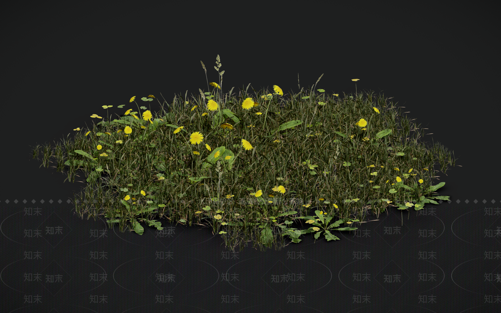 花草组合3D模型下载【ID:1156853742】