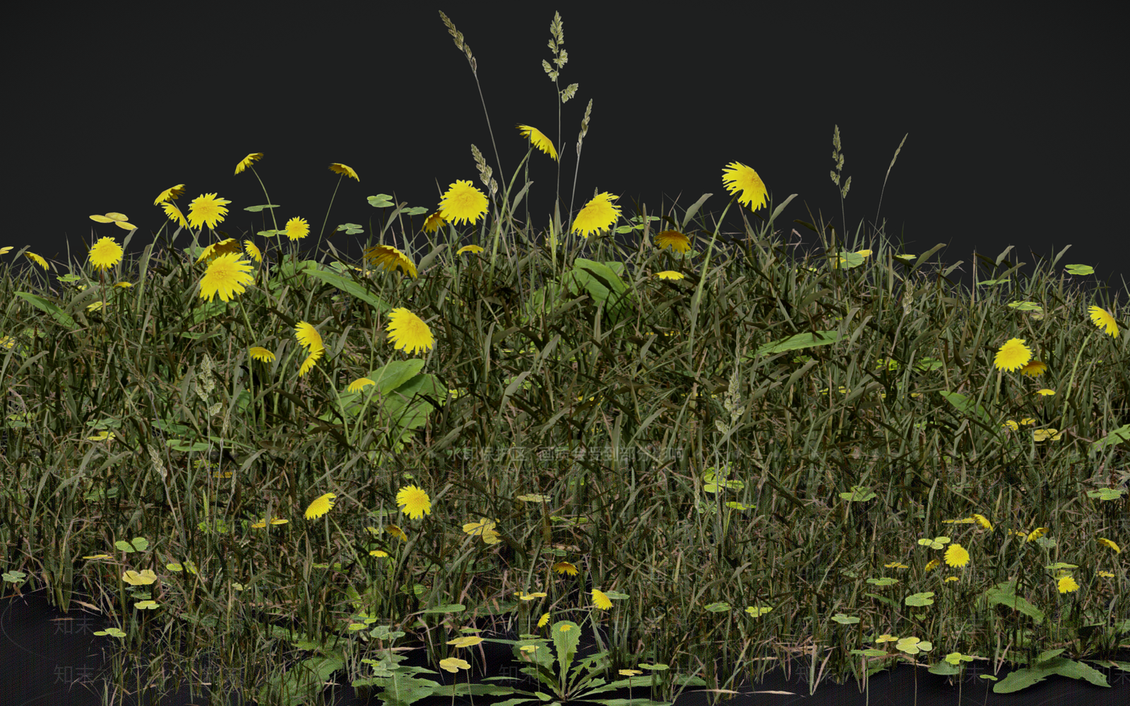 花草组合3D模型下载【ID:1156853742】