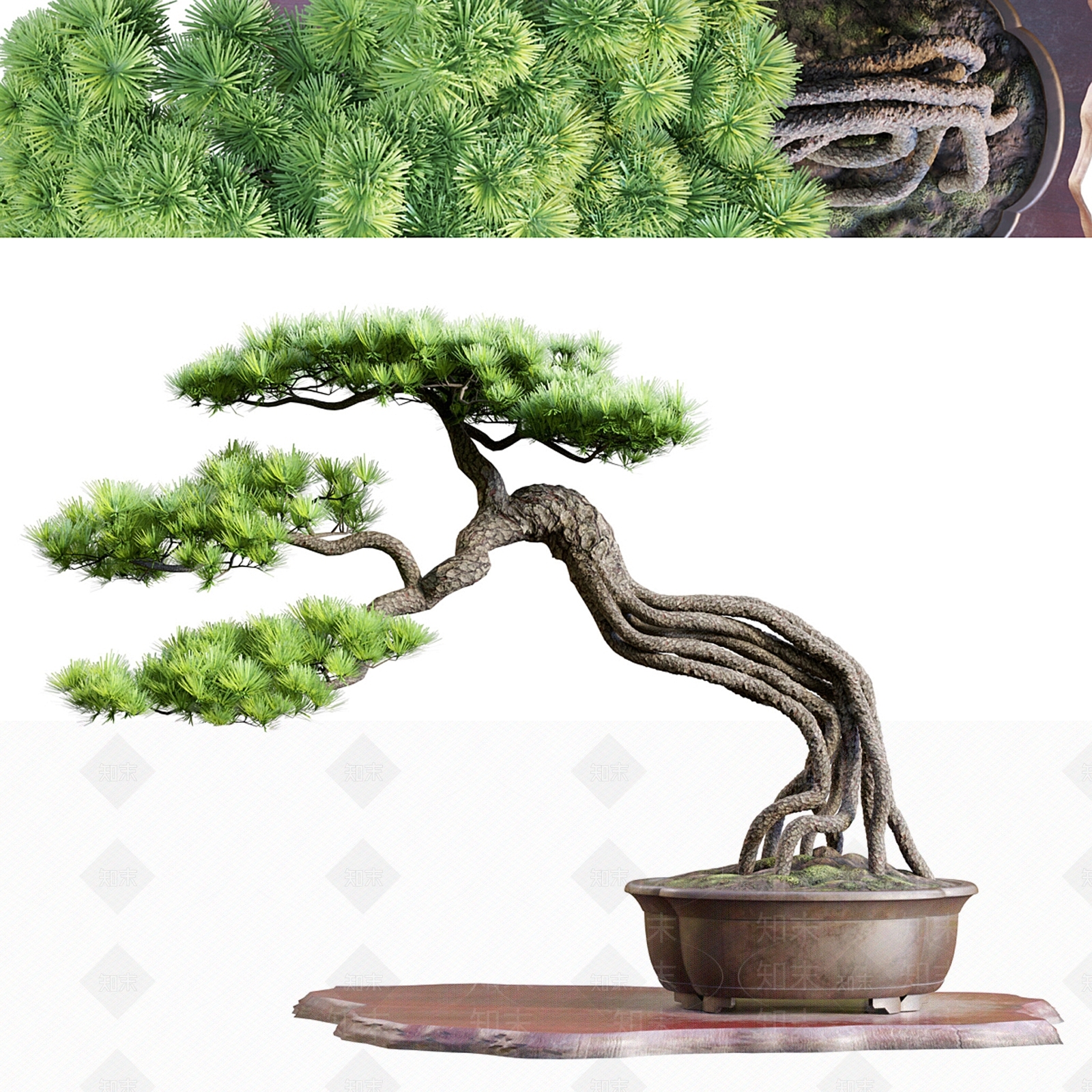 迎客松植物盆栽3D模型下载【ID:1156863245】