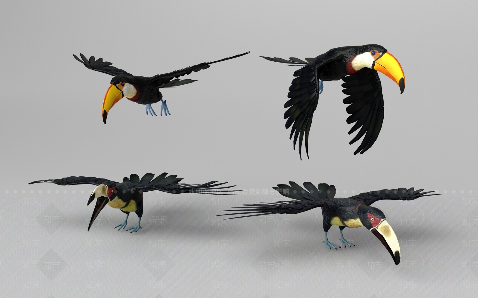 鸟3D模型下载【ID:1156927373】