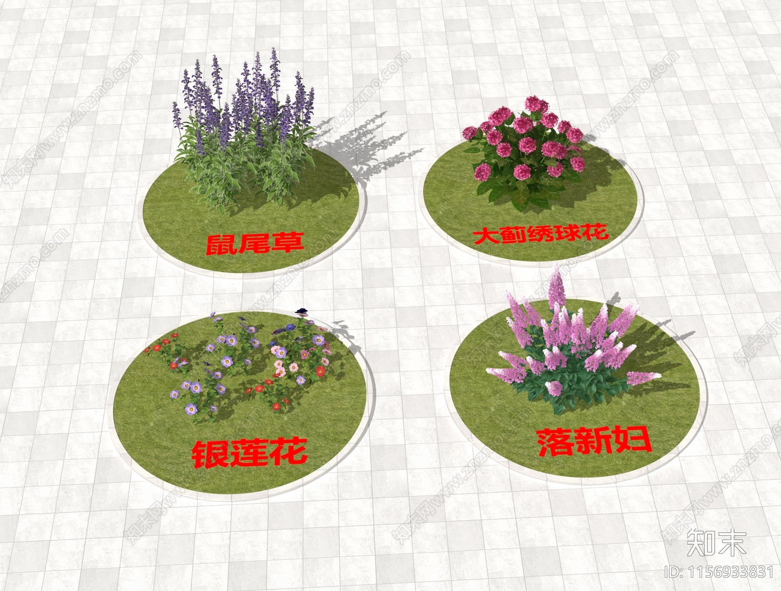 银莲花3D模型下载【ID:1156933831】