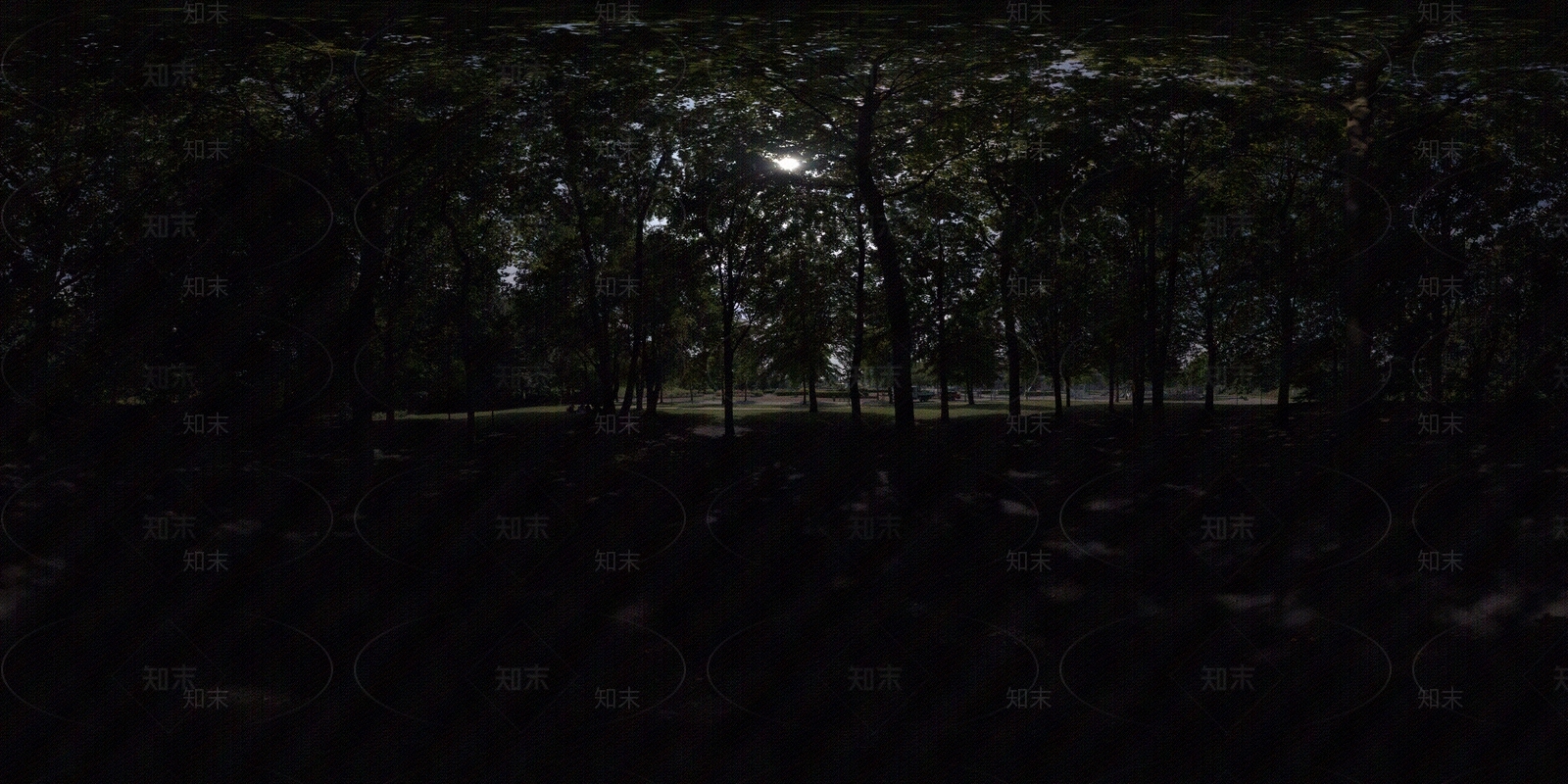 hdr夜晚森林贴图下载【ID:1156952372】