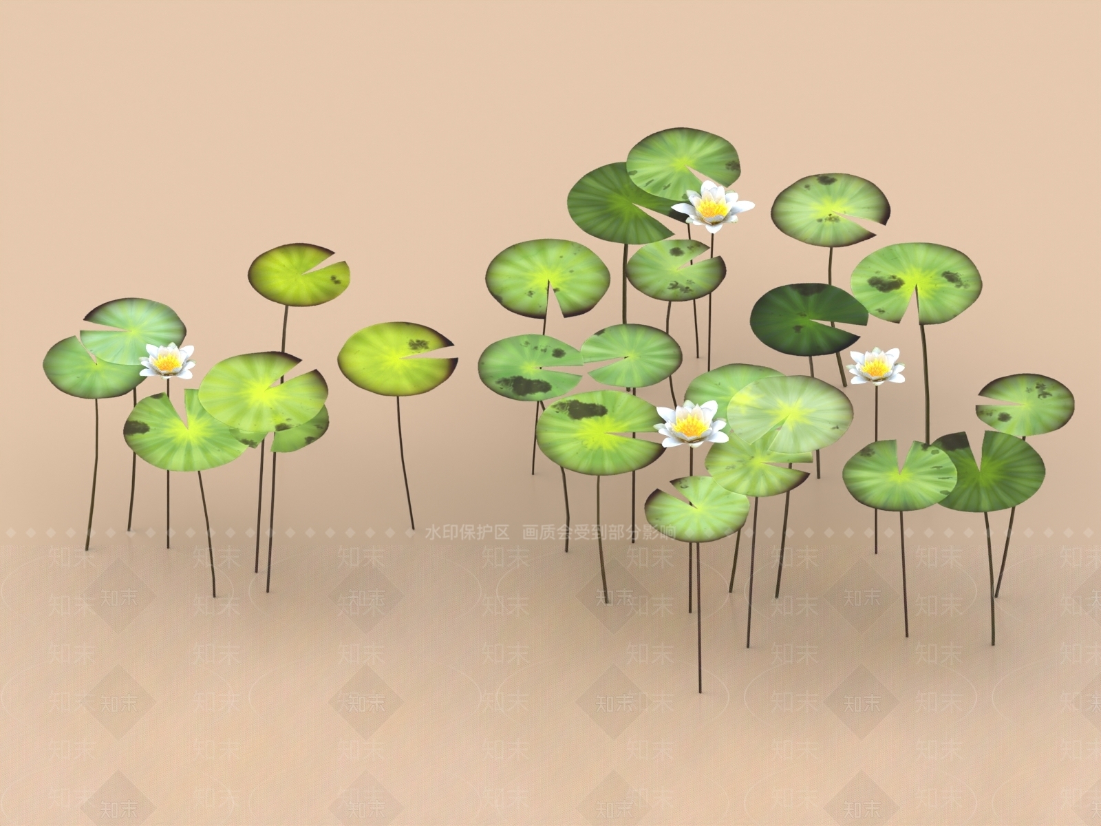 荷叶3D模型下载【ID:1156990674】