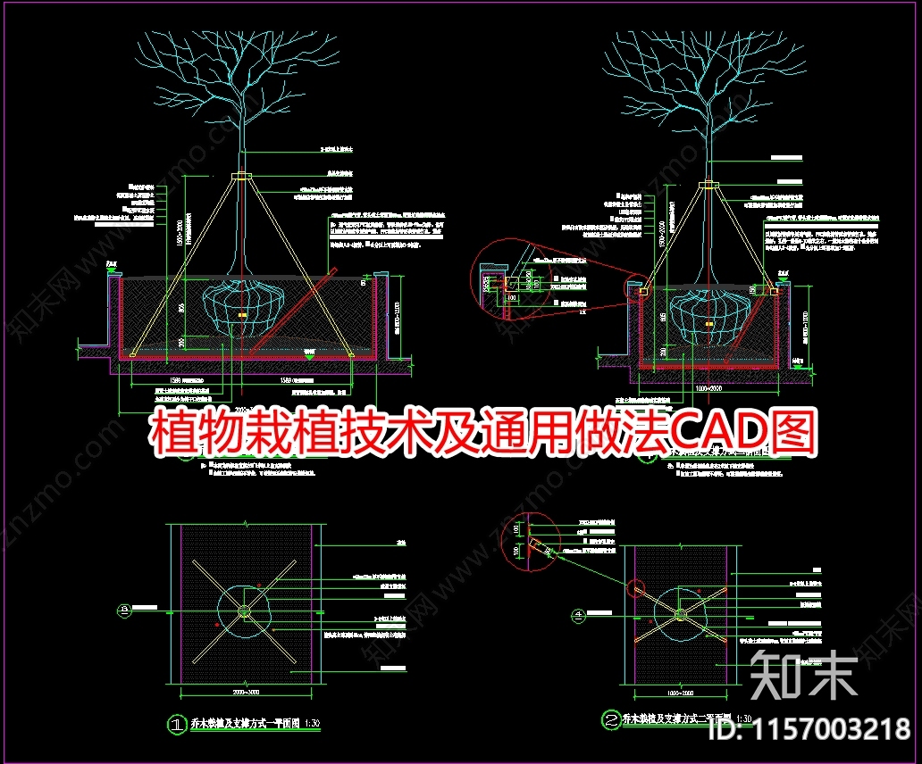 植物栽植技术及通用做法图施工图下载【ID:1157003218】