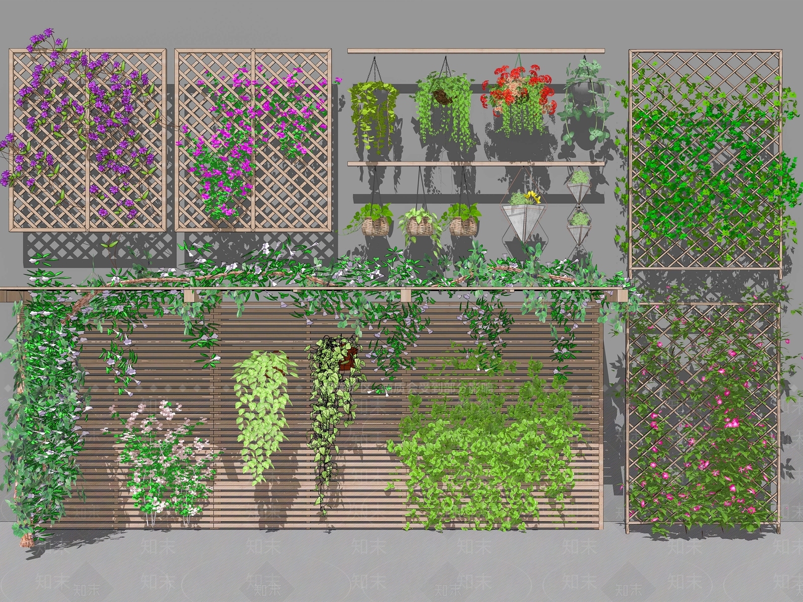 爬藤植物SU模型下载【ID:1157003635】