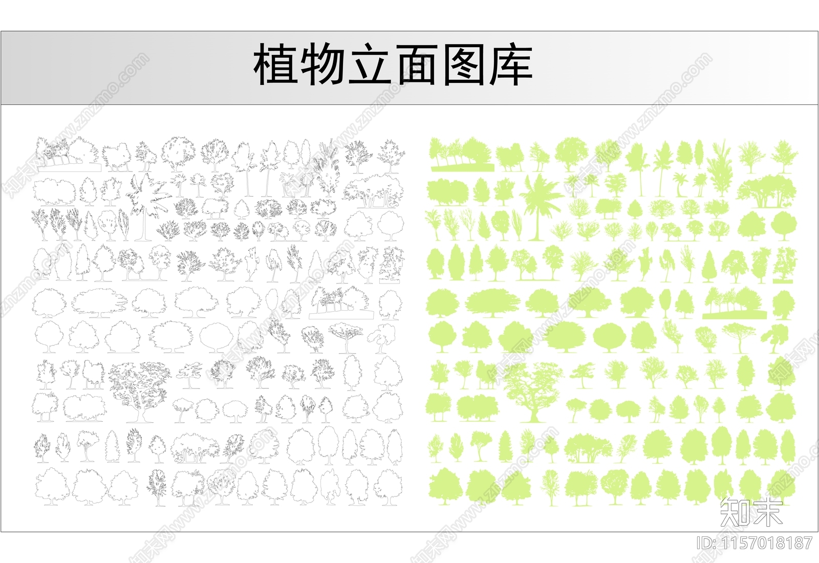 植物立面图库cad施工图下载【ID:1157018187】