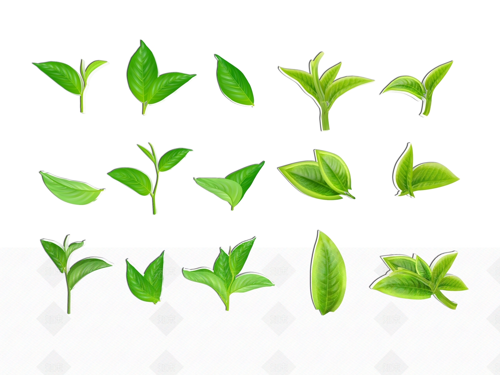 现代植物树叶剪影3D模型下载【ID:1157028156】