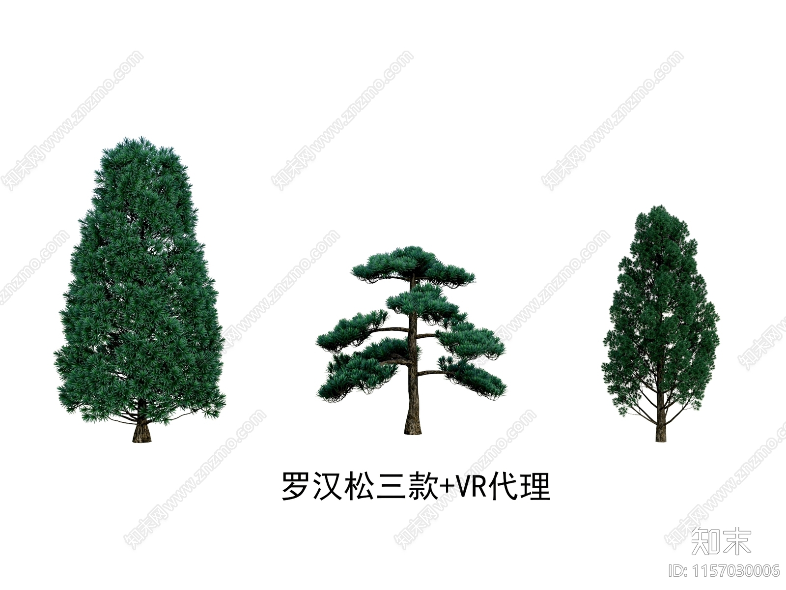 罗汉松3D模型下载【ID:1157030006】