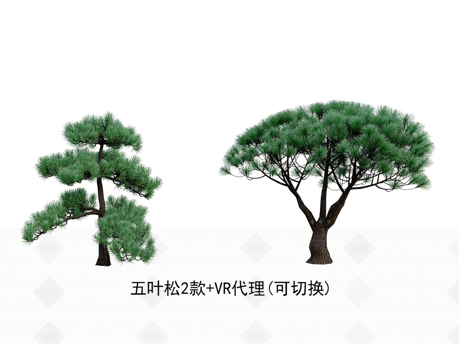 五叶松3D模型下载【ID:1157031229】