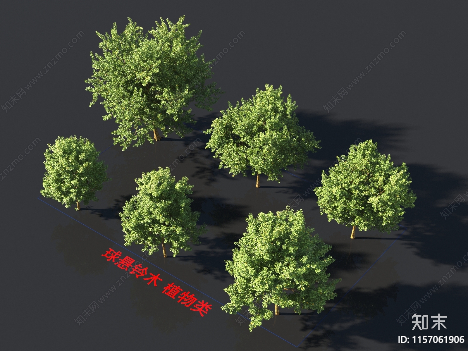 球悬铃木3D模型下载【ID:1157061906】