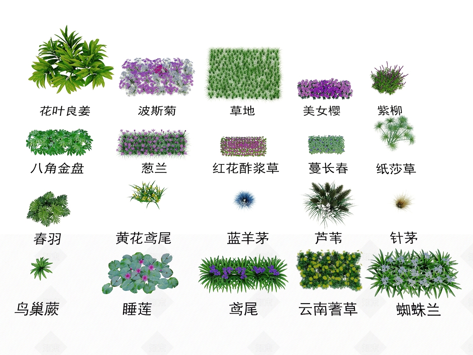 花草组合3D模型下载【ID:1157070957】