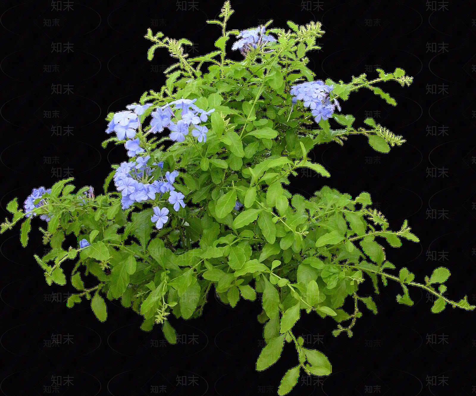 png免抠蓝雪花贴图下载【ID:1157130409】