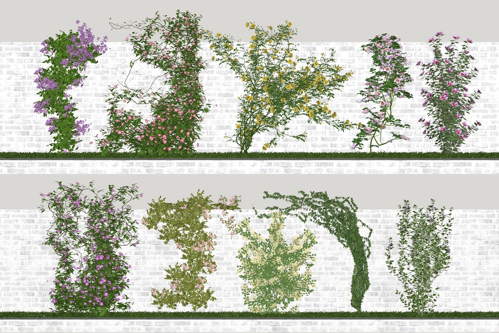 藤蔓爬藤植物SU模型下载【ID:1157173066】