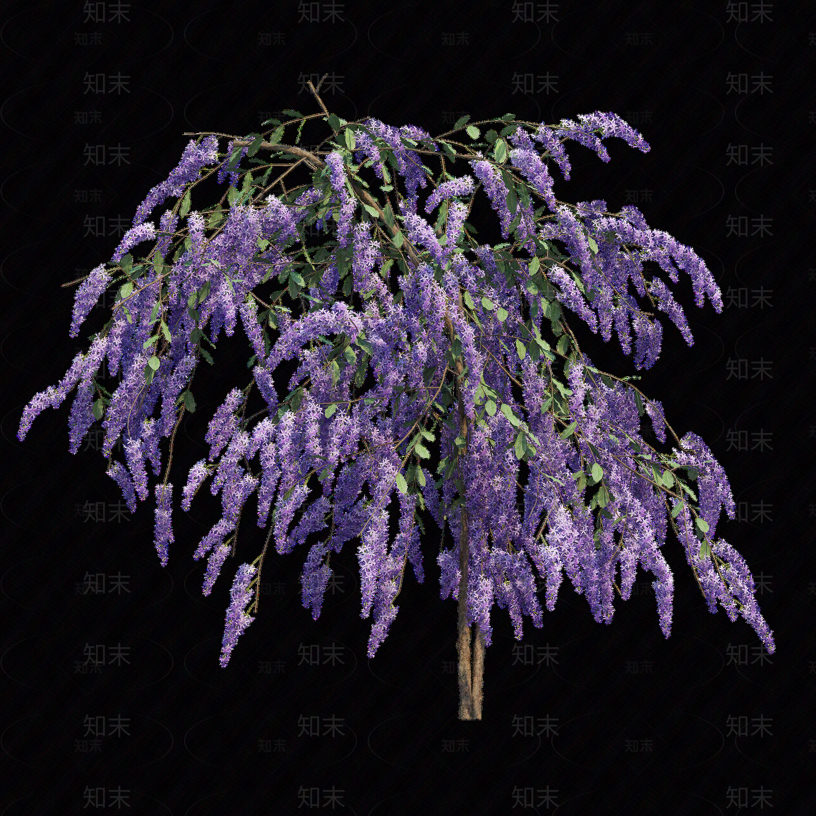png免抠紫藤花贴图下载【ID:1157234595】