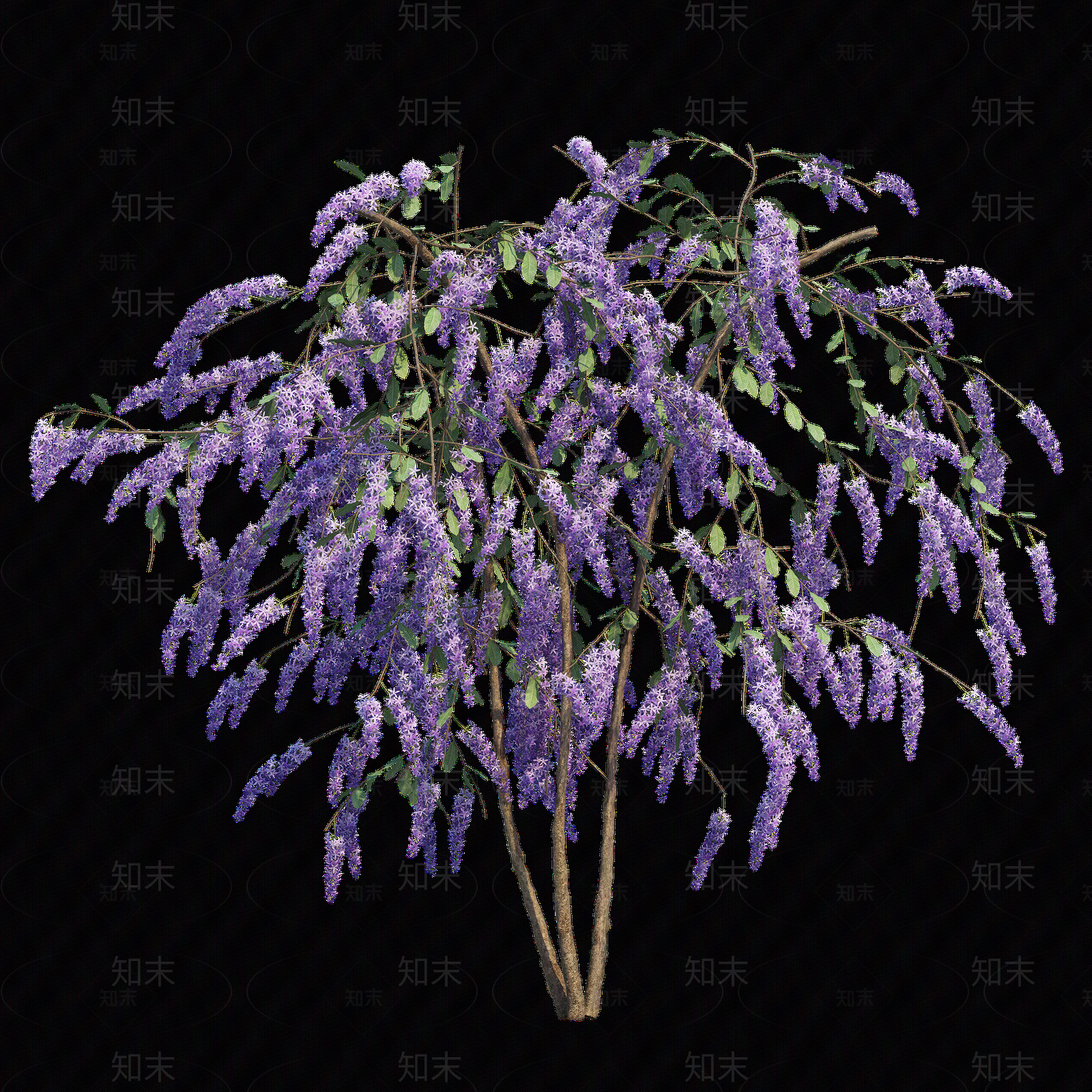 png免抠紫藤花贴图下载【ID:1157234558】