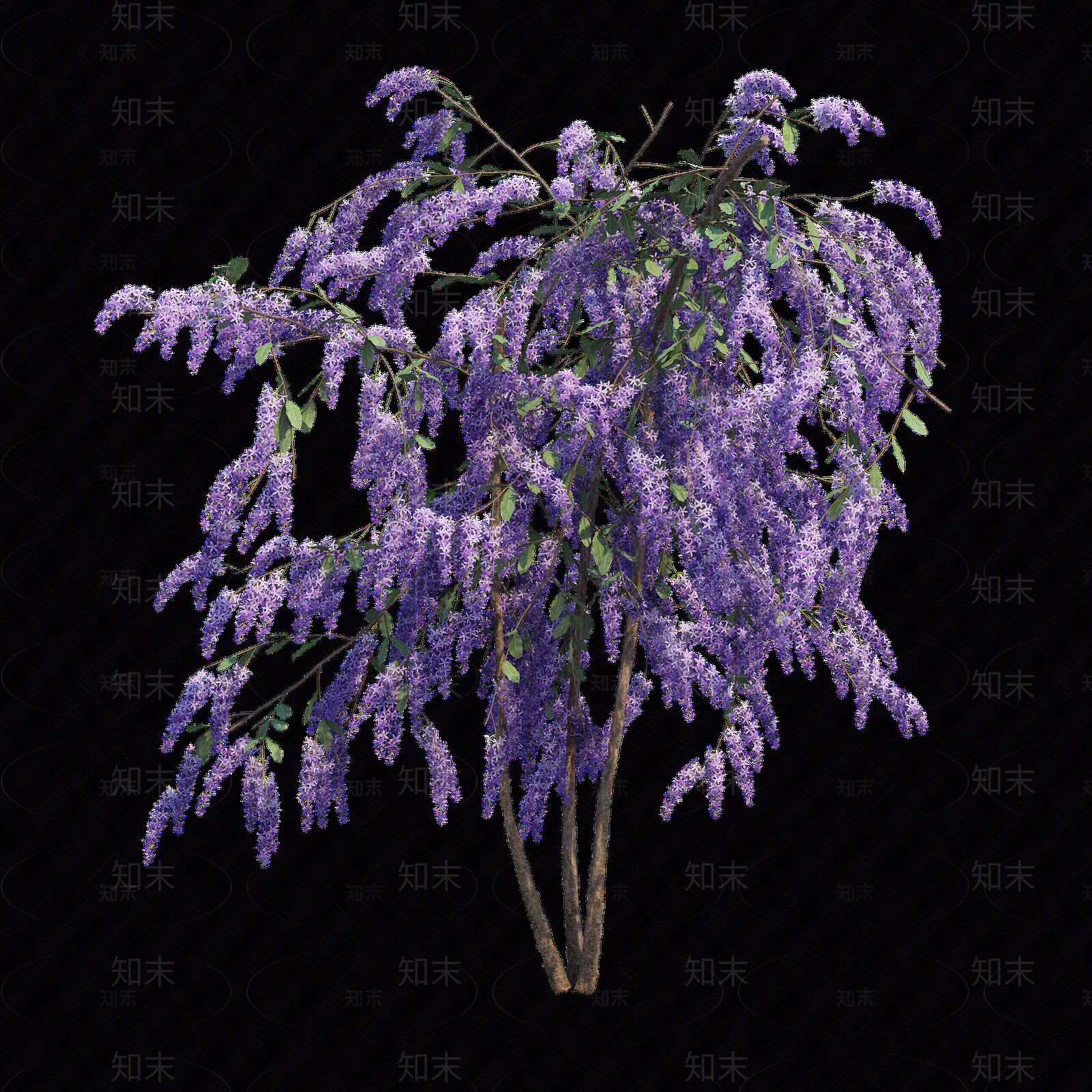 png免抠紫藤花贴图下载【ID:1157234610】