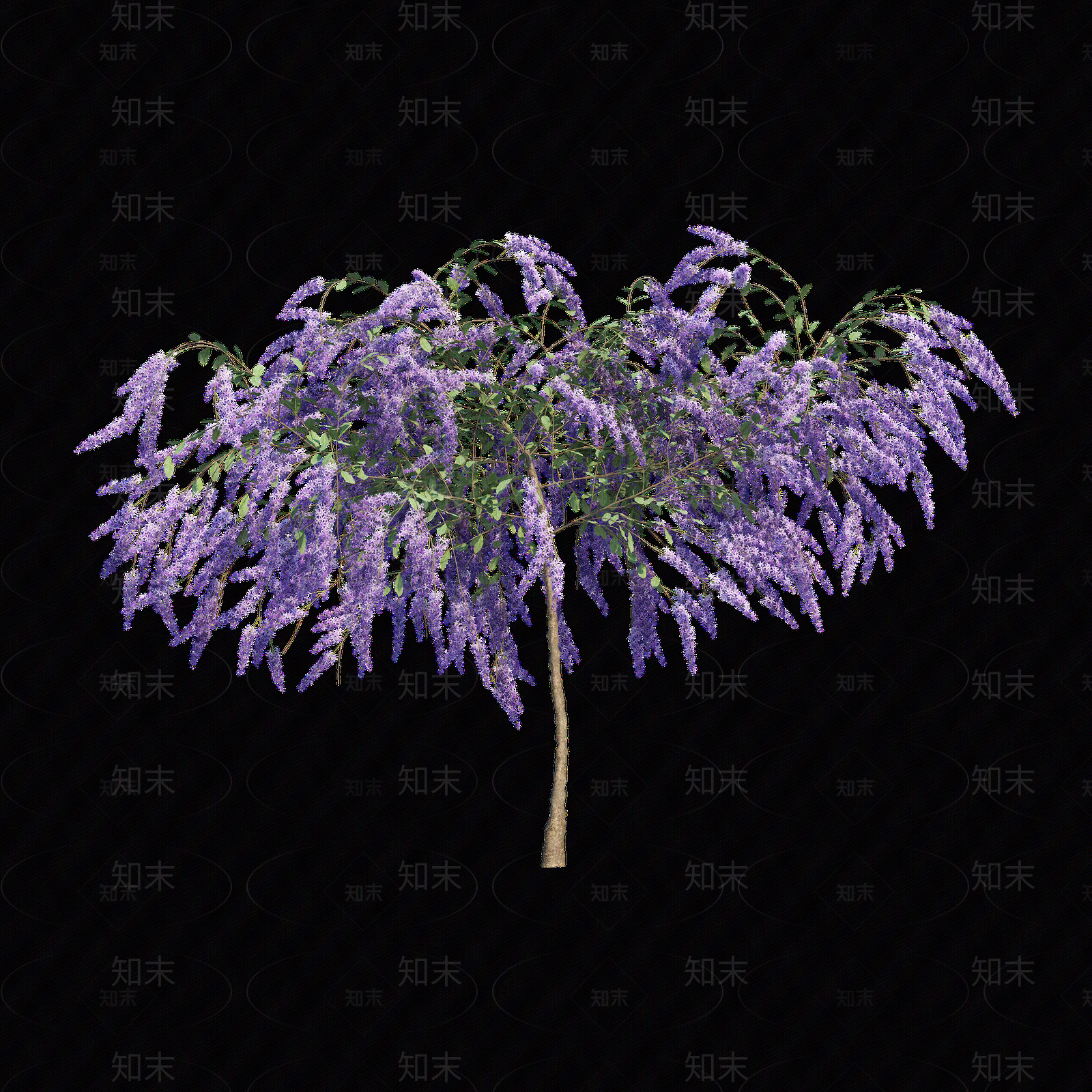 png免抠紫藤花贴图下载【ID:1157234683】