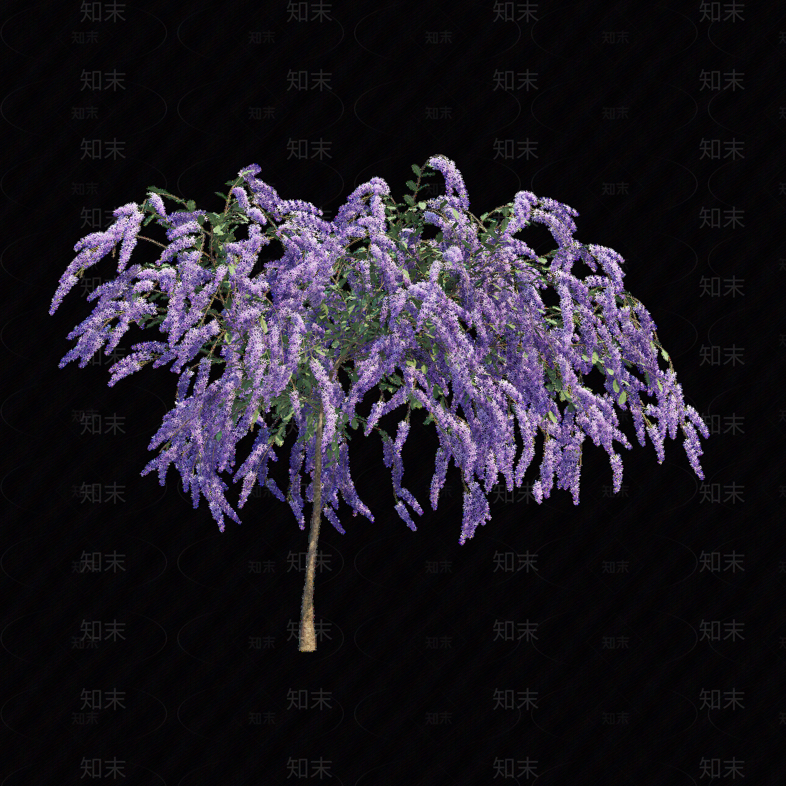 png免抠紫藤花贴图下载【ID:1157234607】