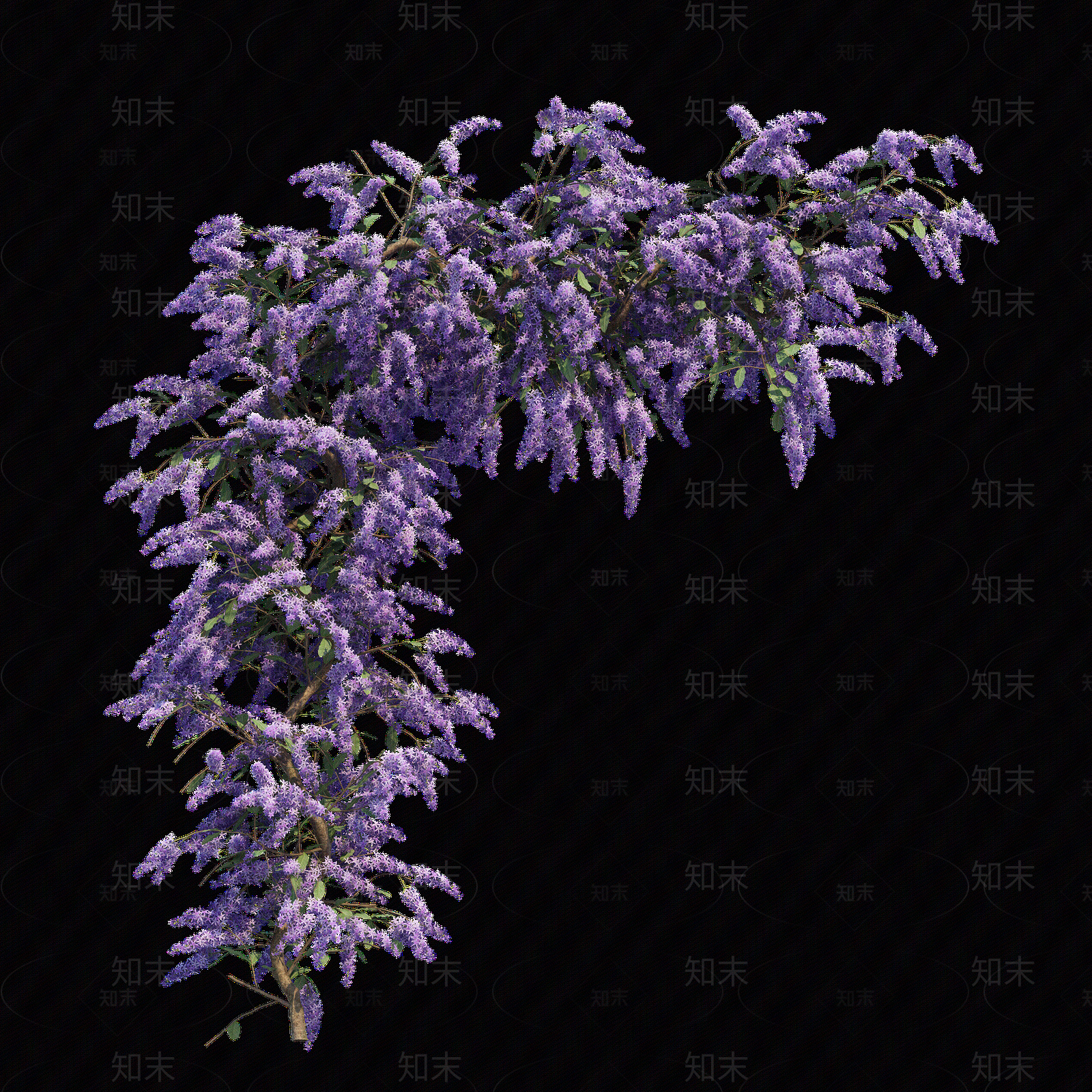 png免抠紫藤花贴图下载【ID:1157235054】