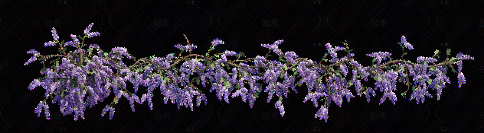 png免抠紫藤花贴图下载【ID:1157235267】