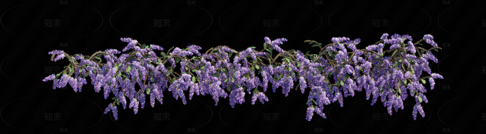 png免抠紫藤花贴图下载【ID:1157235258】