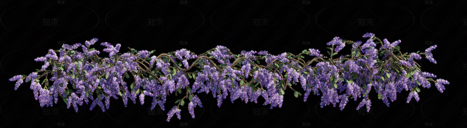 png免抠紫藤花贴图下载【ID:1157235310】
