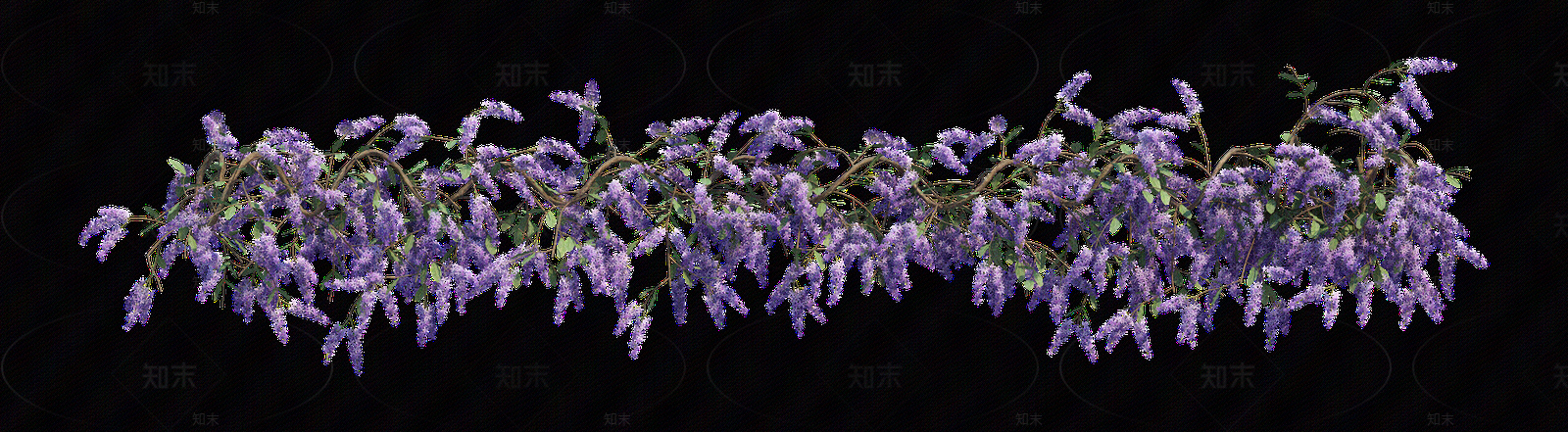png免抠紫藤花贴图下载【ID:1157235331】