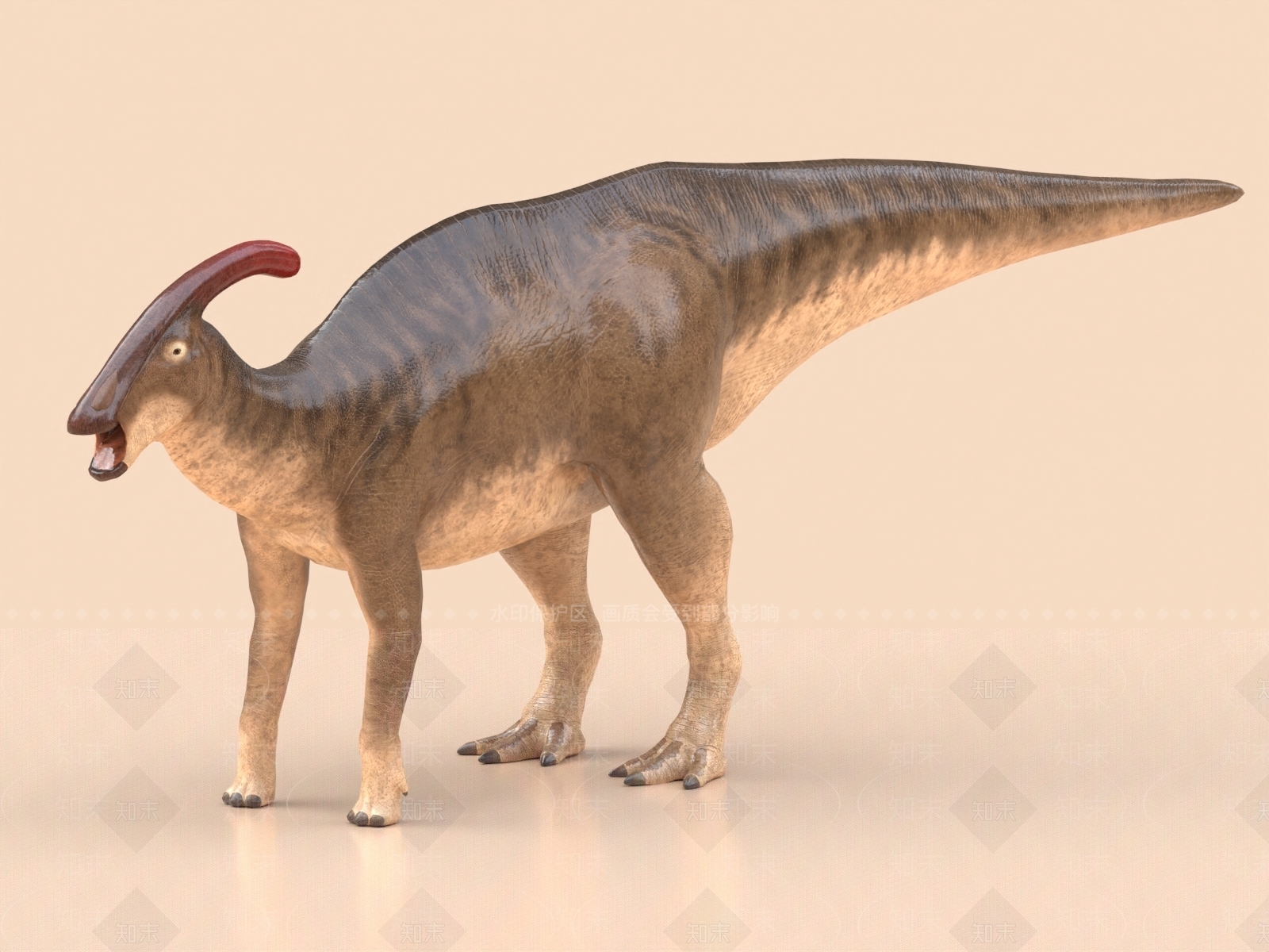 副栉龙3D模型下载【ID:1157256342】_知末3d模型网