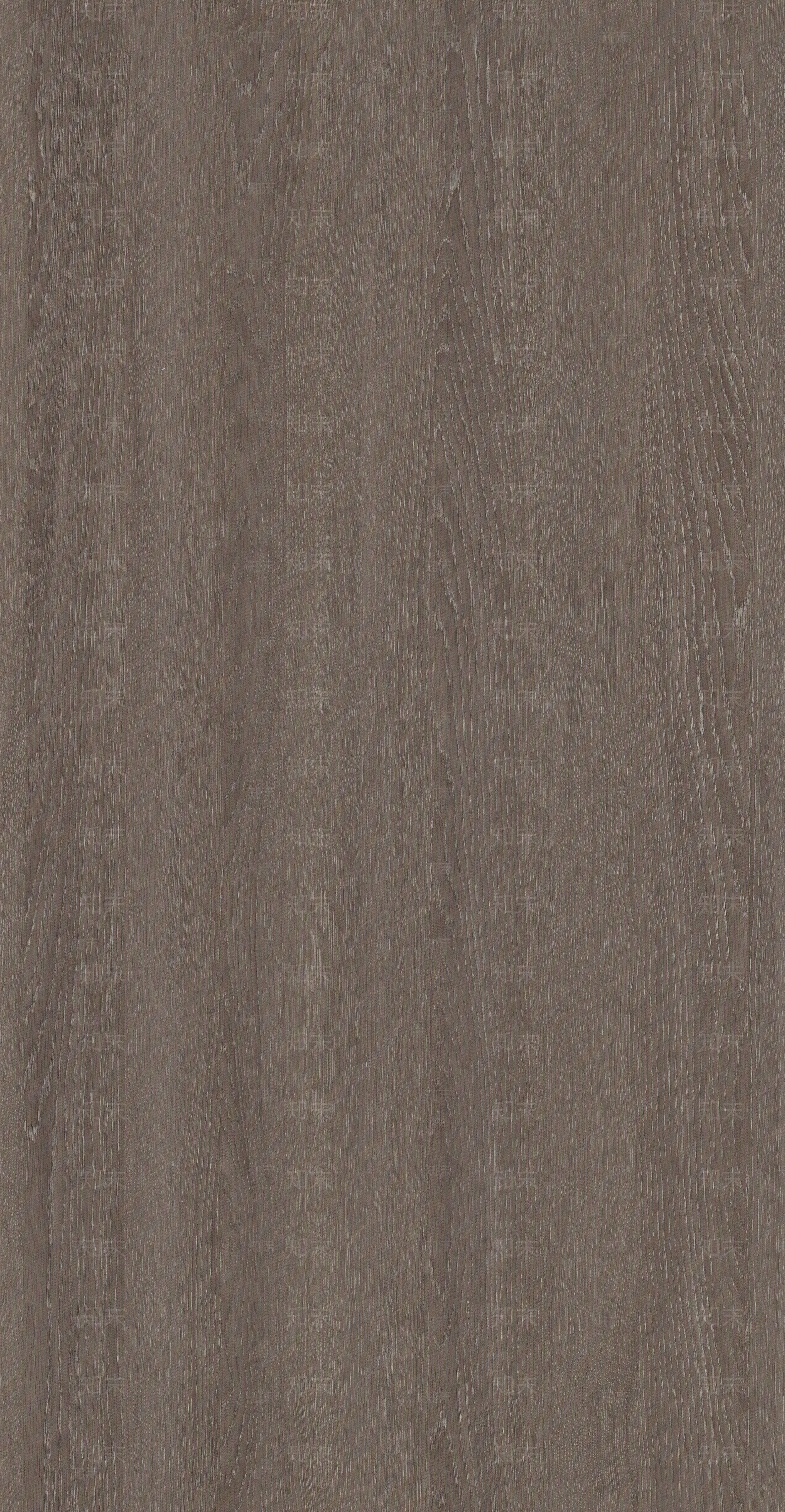 爱格1379贴图下载【ID:1157302614】