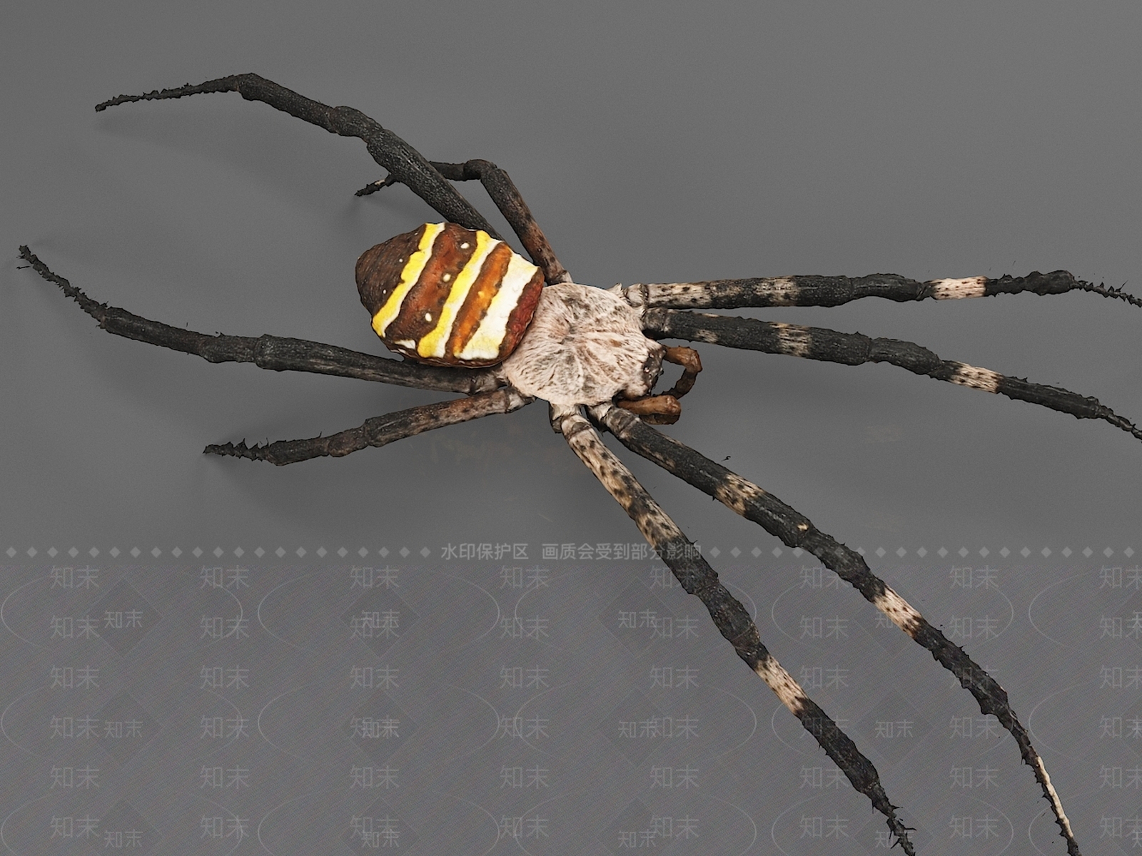 蜘蛛3D模型下载【ID:1157305910】