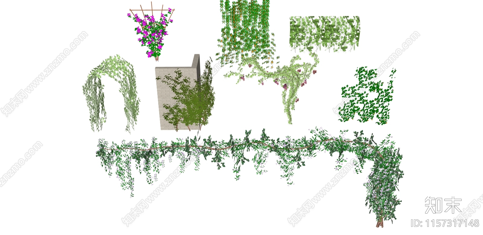 藤蔓植物SU模型下载【ID:1157317148】