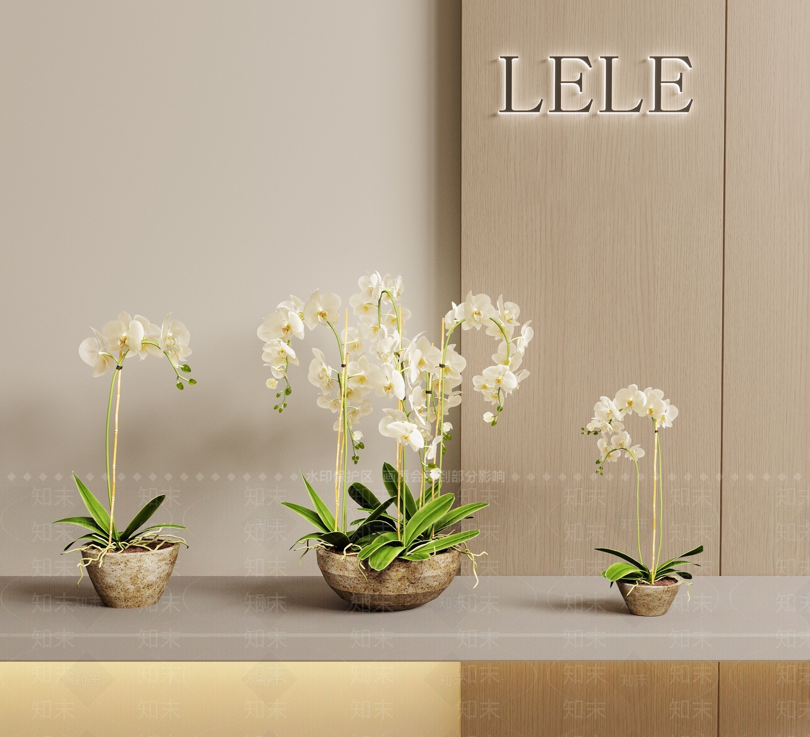 现代蝴蝶兰SU模型下载【ID:1157325014】