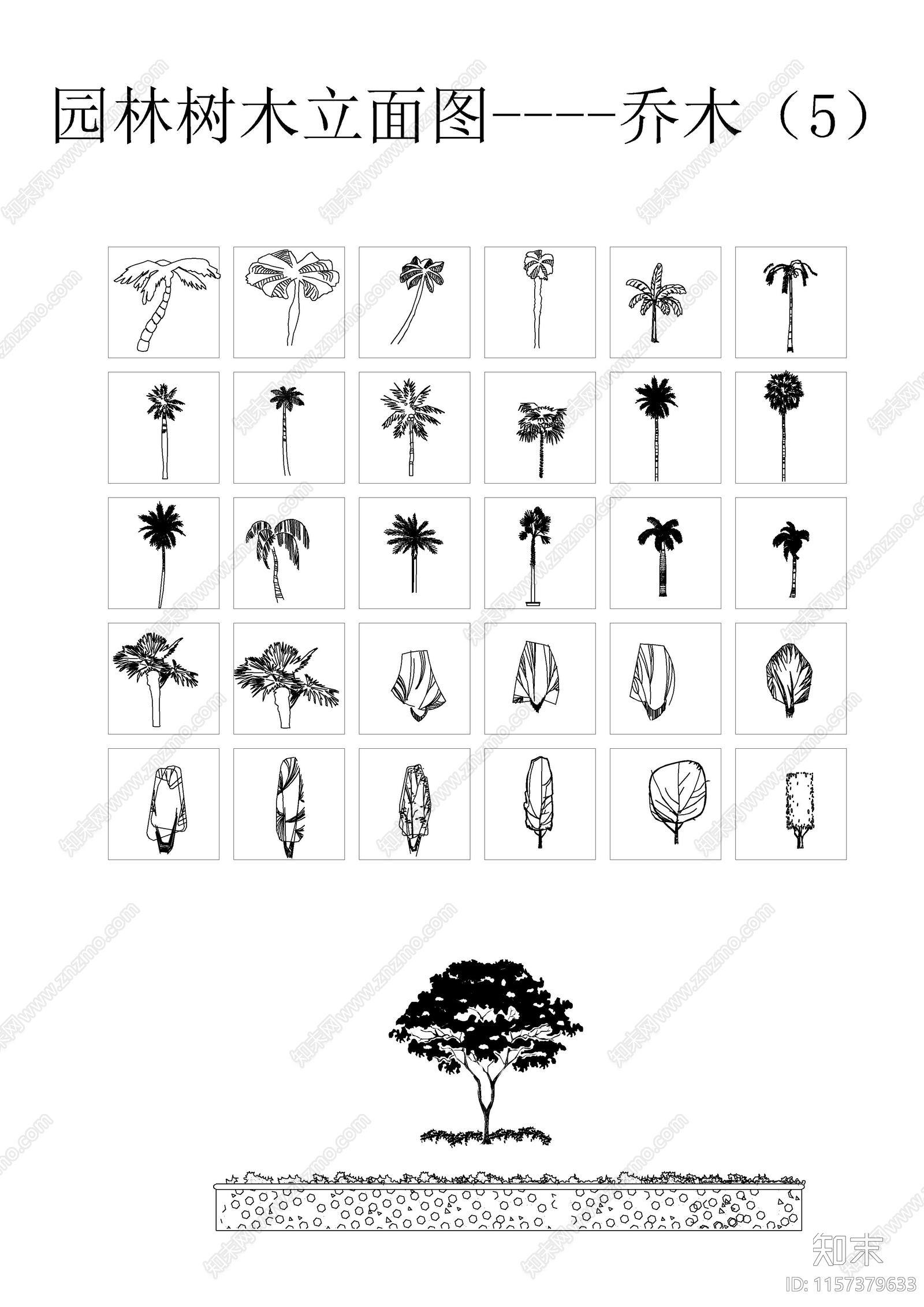 园林树木立面图乔木图库施工图下载【ID:1157379633】