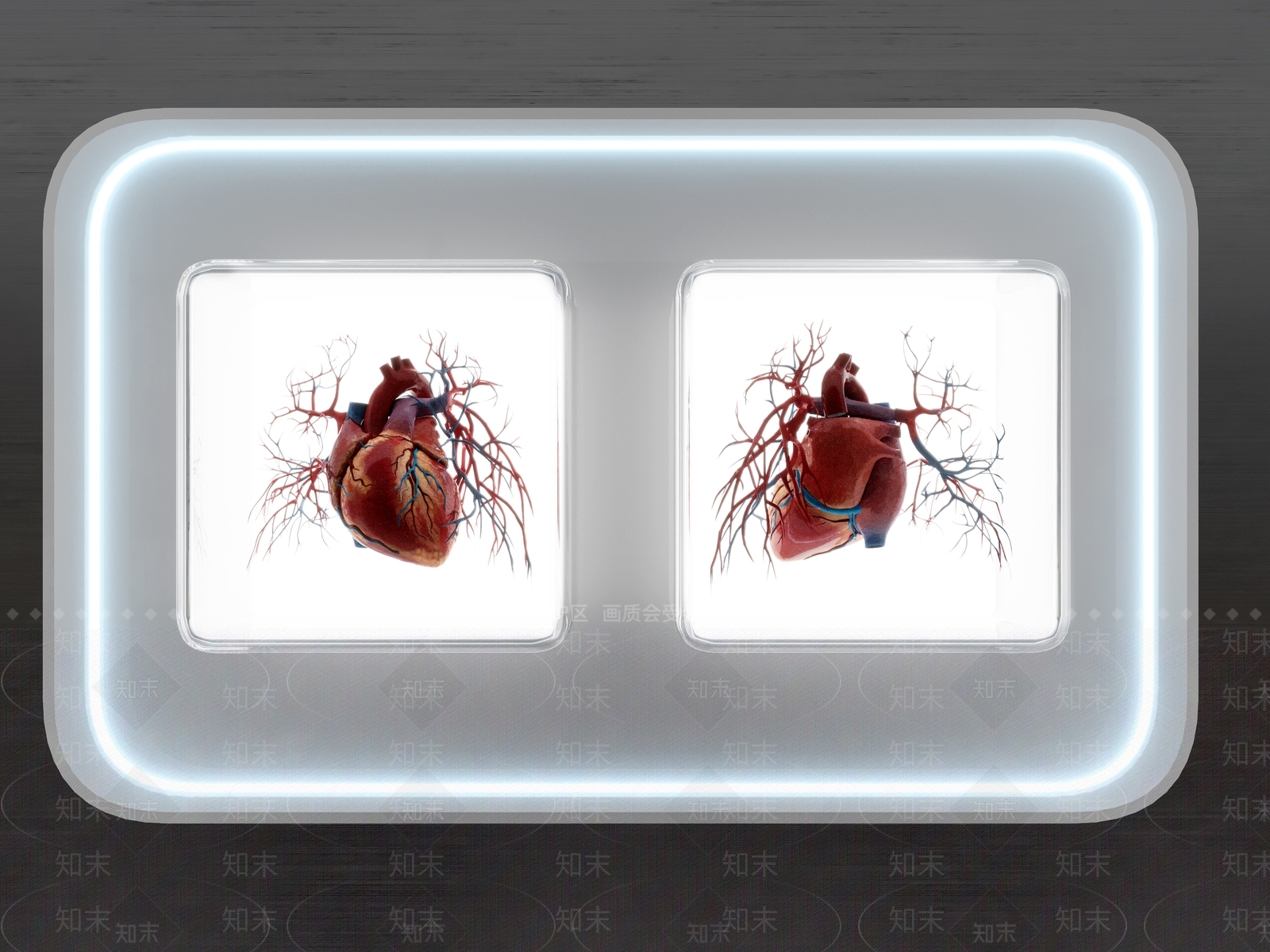 现代现在心脏标本装置艺术墙饰3D模型下载【ID:1157428048】