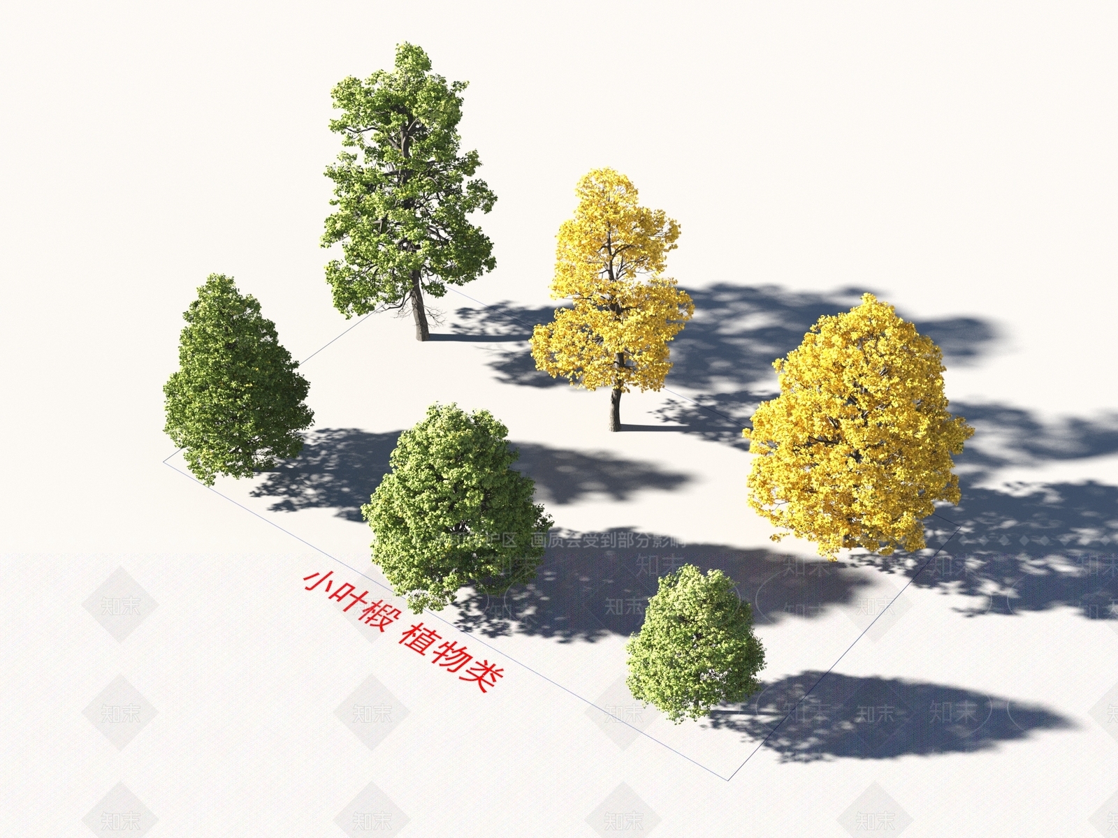 小叶椴3D模型下载【ID:1157435044】