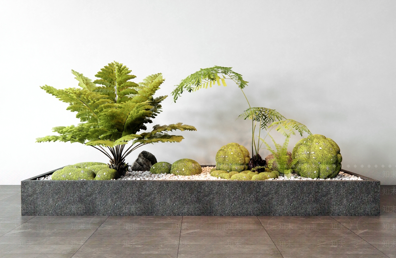 现代蕨类植物堆3D模型下载【ID:1157454325】