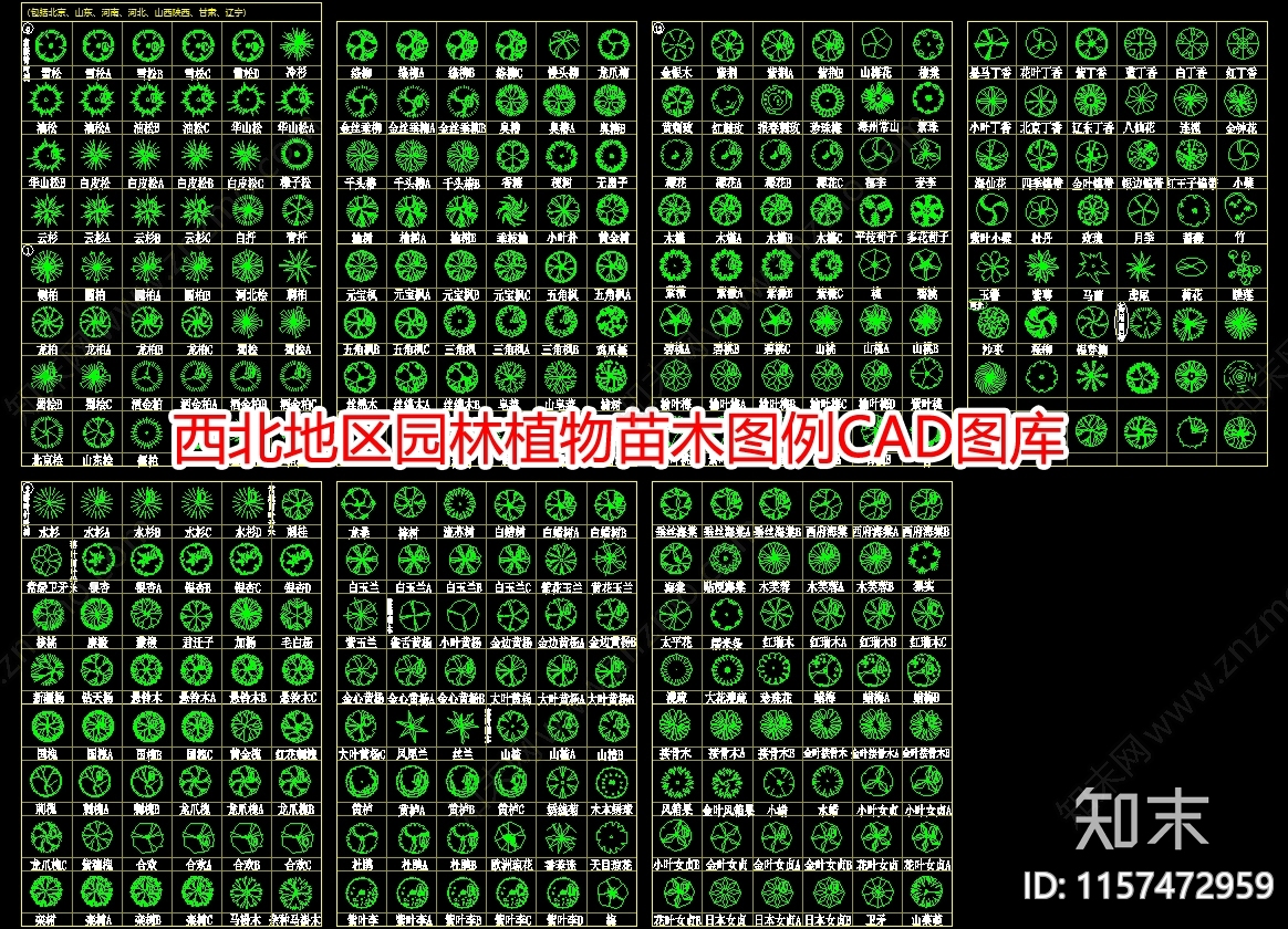 西北地区园林植物苗木图例图库施工图下载【ID:1157472959】