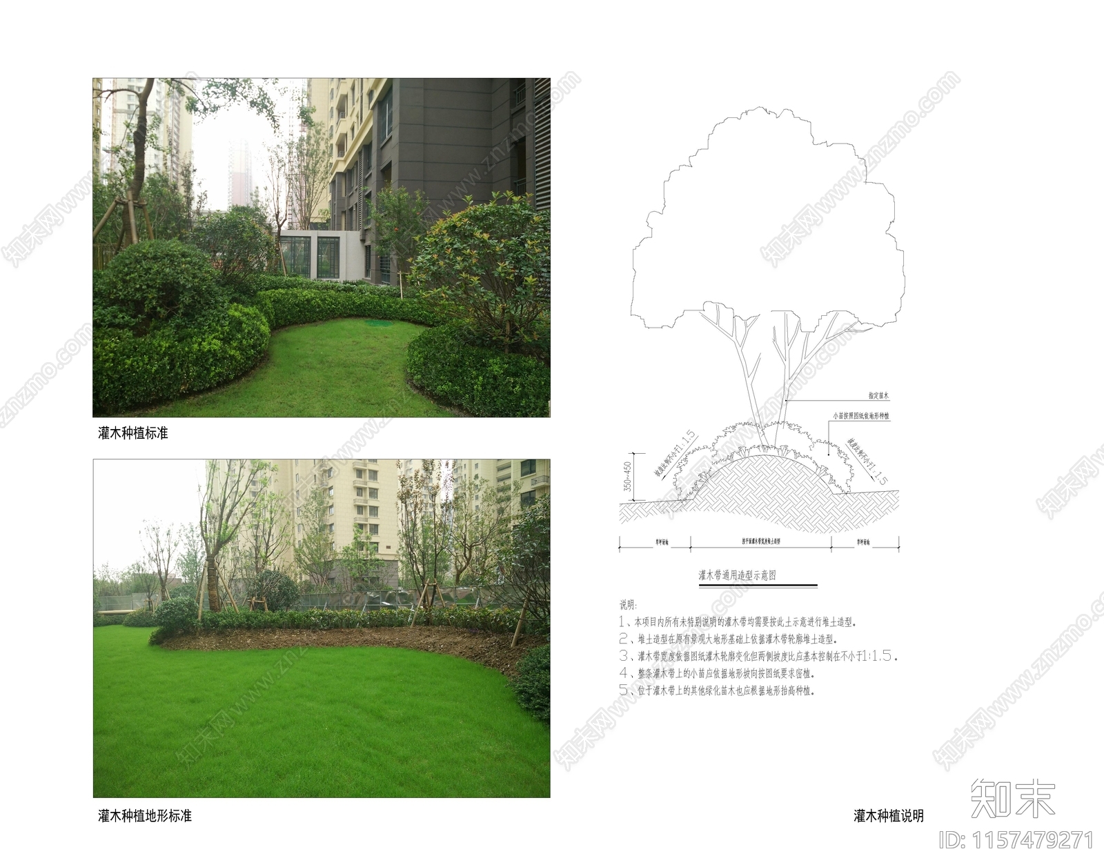 江苏地区住宅示范区栽植设计说明cad施工图下载【ID:1157479271】