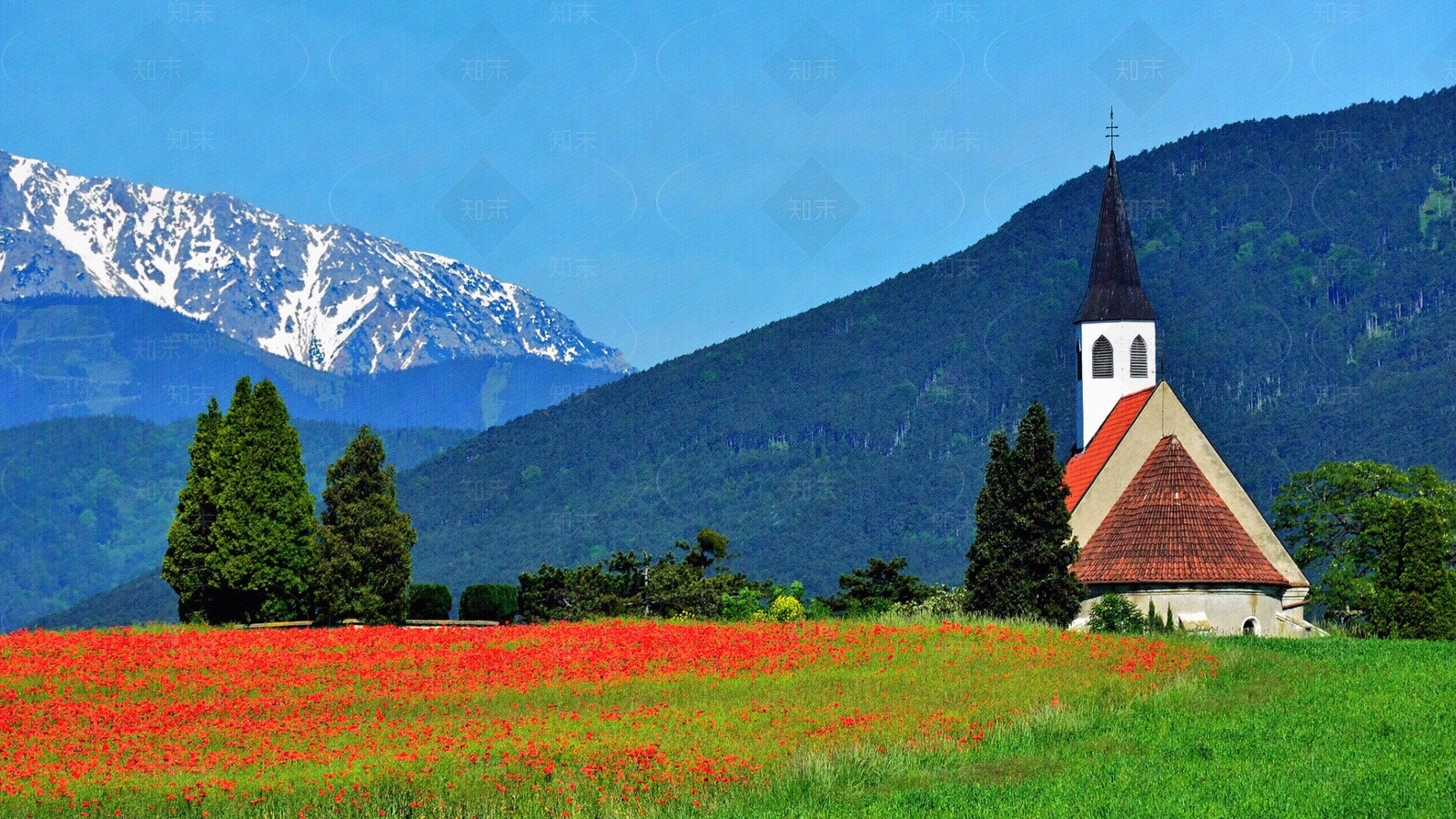 阿尔卑斯山风景贴图下载【ID:1157500985】