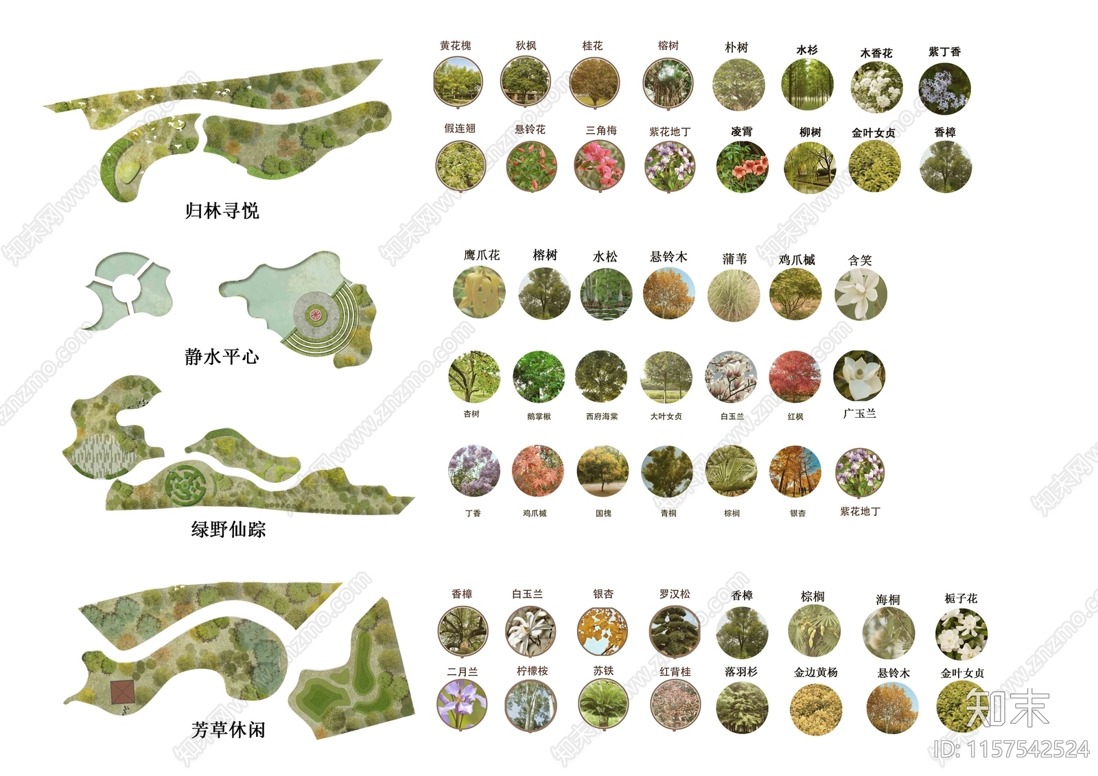 psd免抠功能区植物分析下载【ID:1157542524】undefined