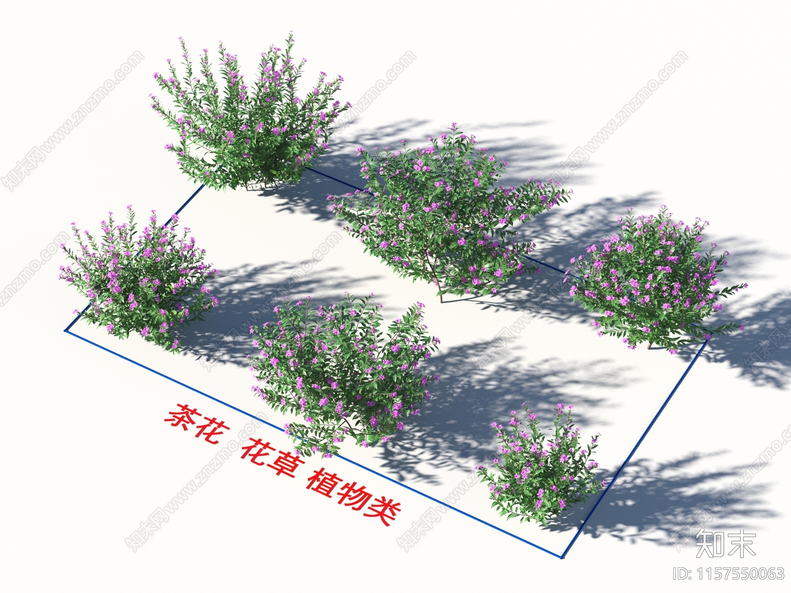 茶花3D模型下载【ID:1157550063】