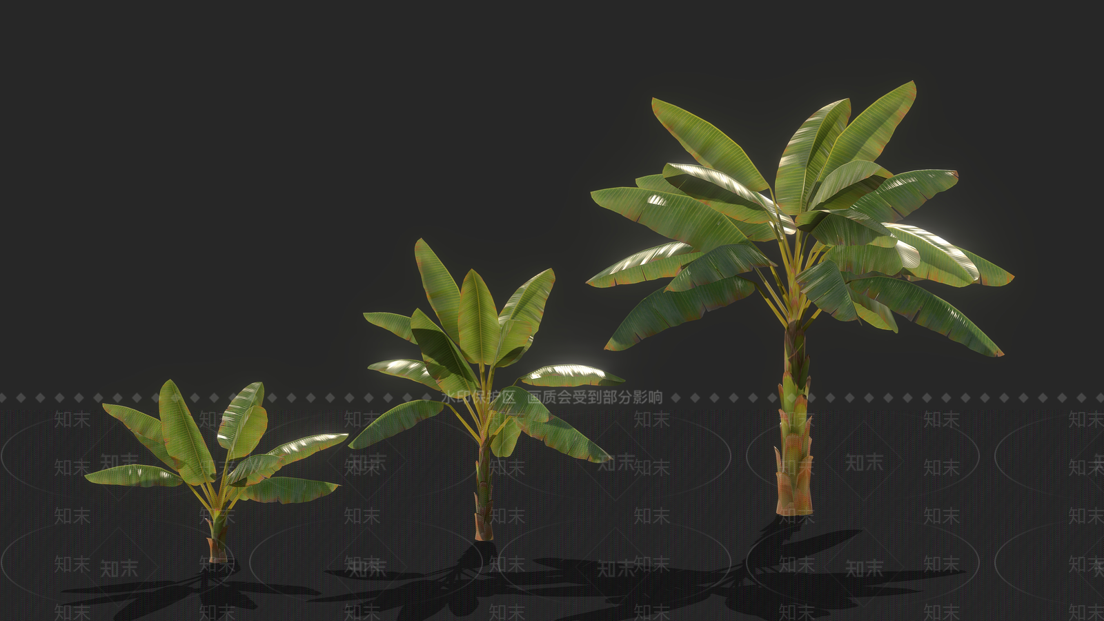 香蕉树3D模型下载【ID:1157552742】