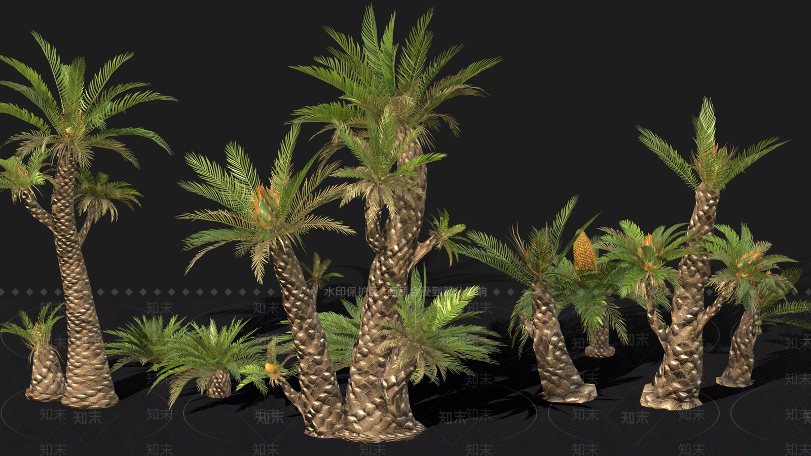 棕榈树3D模型下载【ID:1157552951】