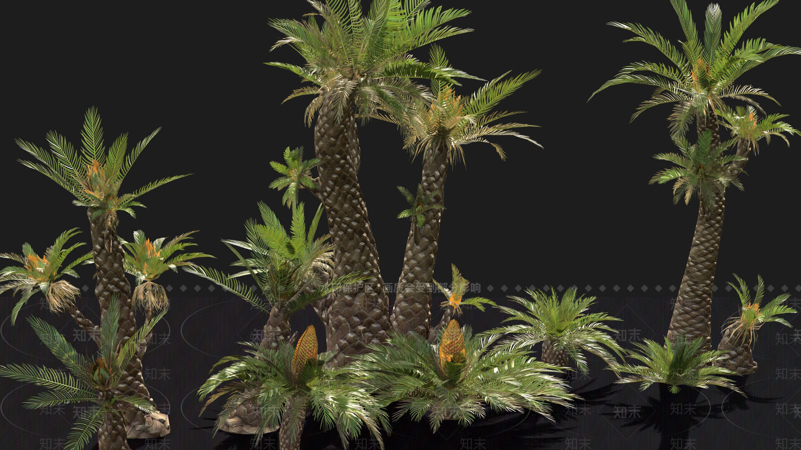 棕榈树3D模型下载【ID:1157552951】