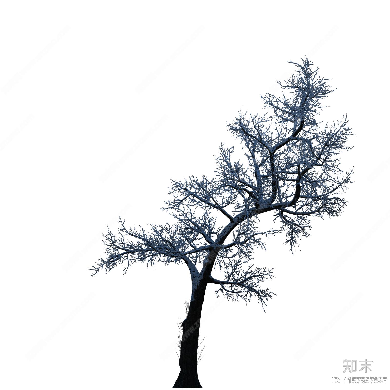 PNG免抠植物树下载【ID:1157557887】