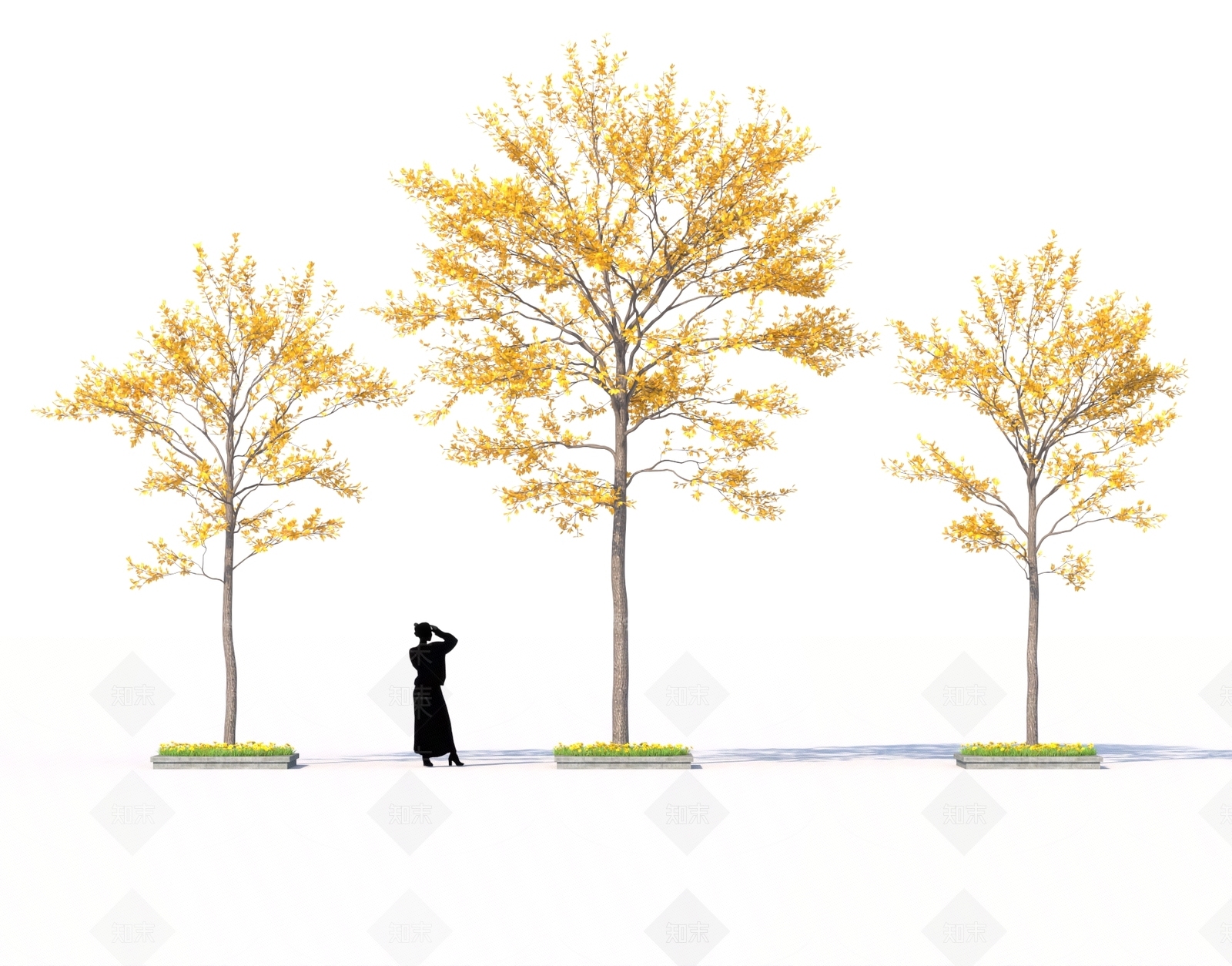 现代景观树3D模型下载【ID:1157575114】