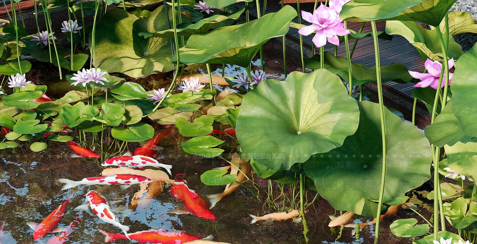 现代池塘荷花3D模型下载【ID:1157589921】